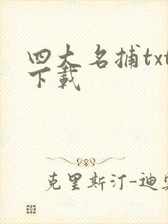 四大名捕txt下载