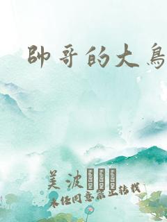 帅哥的大鸟
