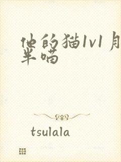 他的猫1v1月半喵