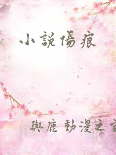 小说伤痕
