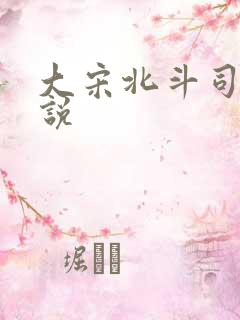大宋北斗司 小说