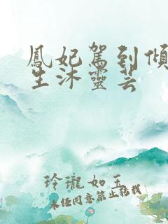 凤妃驾到倾倒众生沐灵芸