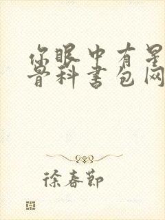 你眼中有星辰h骨科书包网