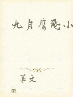 九月鹰飞小说
