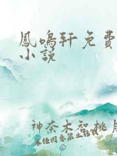 凤鸣轩免费言情小说