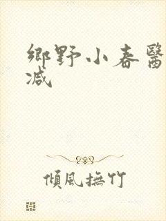 乡野小春医无删减