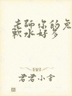 老师你的兔子好软水好多