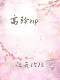高干np