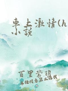 车上激情(h)小说