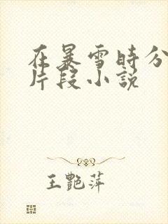 在暴雪时分高能片段小说