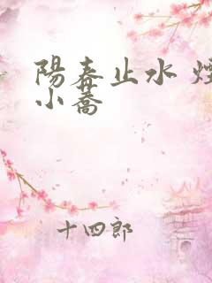 阳春止水 烟树小荞