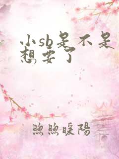 小sb是不是又想要了