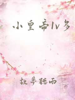 小皇帝1v多
