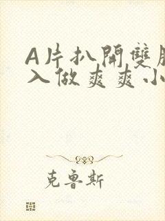 A片扒开双腿进入做爽爽小说