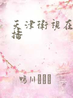 天津卫视在线直播