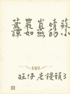 萧严肖晴苏雨溪谭如燕的小说在线阅读