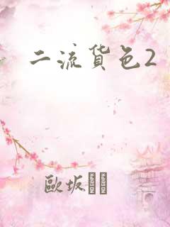 二流货色2