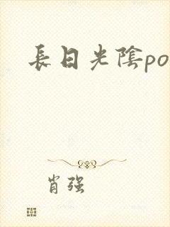 长日光阴po