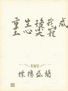 重生后我成了傻王心尖宠