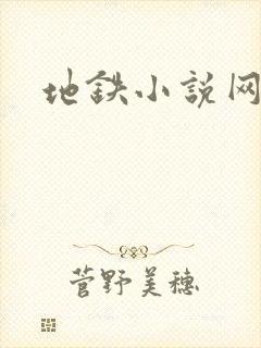 地铁小说网
