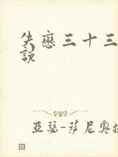 失恋三十三天小说
