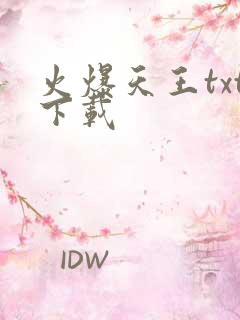 火爆天王txt下载