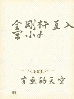 金刚杵直入莲花宫小f