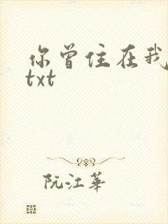 你曾住在我心上txt