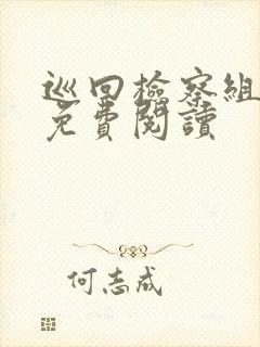 巡回检察组小说免费阅读