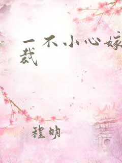 一不小心嫁给总裁