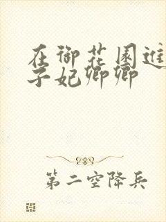 在御花园进入太子妃卿卿