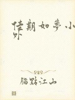 佳期如梦小说番外