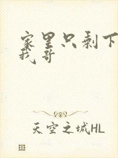 家里只剩下我和我哥