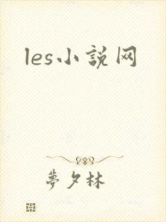 les小说网