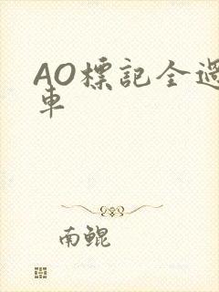 AO标记全过程车