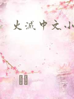 火灭中文小说