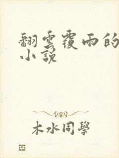 翻云覆雨的秘密小说