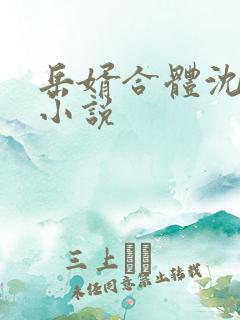 岳婿合体沈绝的小说