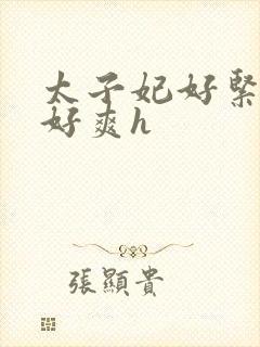 太子妃好紧皇上好爽h