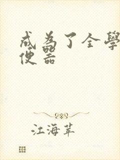 成为了全学校坐便器