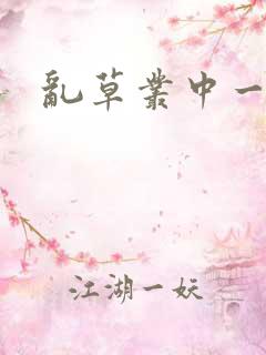 乱草丛中一杆枪