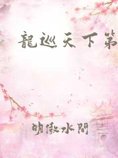 龙巡天下第四部