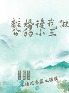 离婚后我做了老公的小三