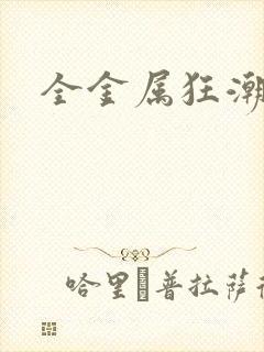 全金属狂潮小说