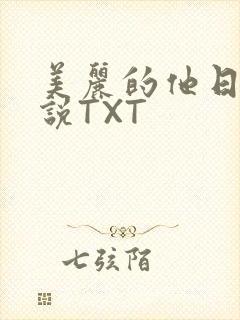 美丽的他日剧小说TXT