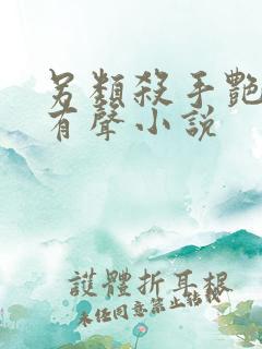 另类杀手艳福星有声小说