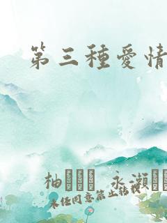 第三种爱情续集