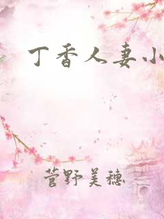 丁香人妻小说