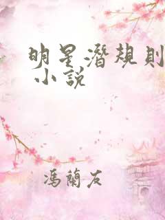 明星潜规则之皇 小说