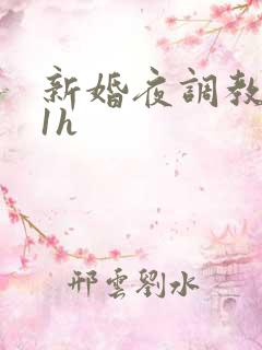 新婚夜调教1v1h